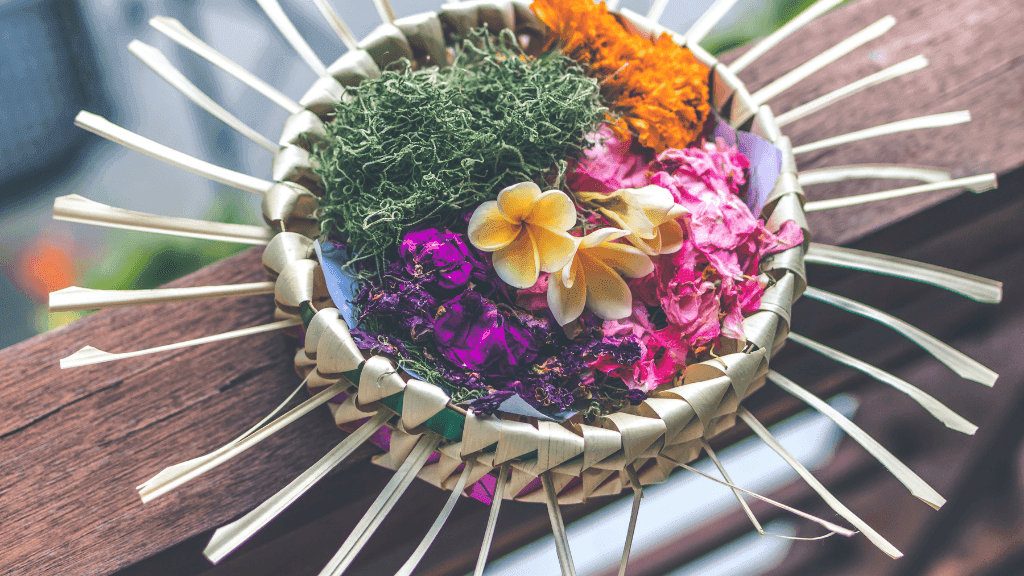 Bali to Beyond (8 - 20 Days) | Culture Circuits, Komodo Cruising & Gili Slow - Life - Zero Trace Tours