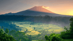 Bali to Beyond (8 - 20 Days) | Culture Circuits, Komodo Cruising & Gili Slow - Life - Zero Trace Tours