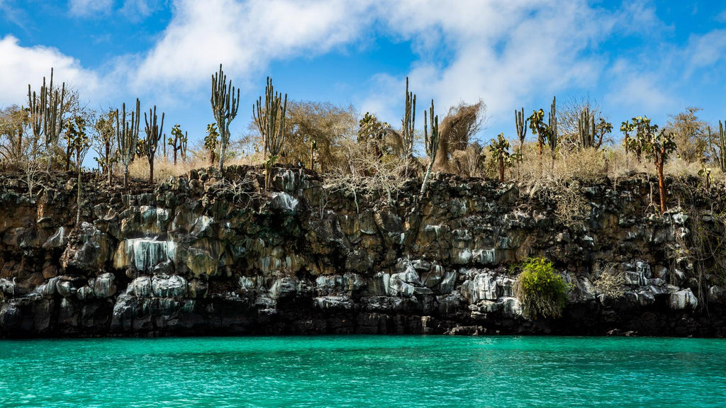 Small Ship Galápagos | 7/10 or 17-Days Island-Hoping Expedition