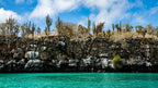 Small Ship Galápagos | 7/10 or 17-Days Island-Hoping Expedition
