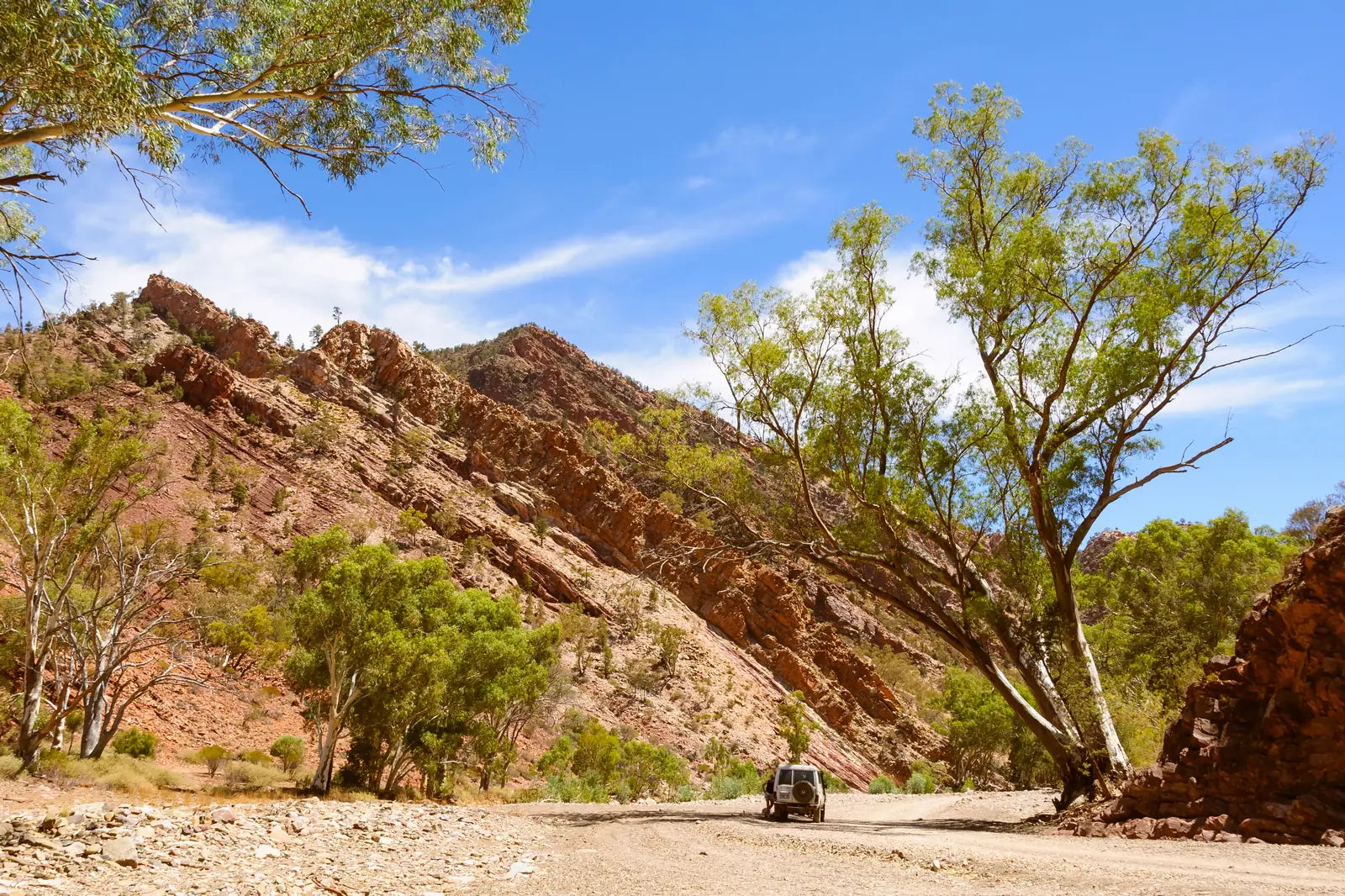 7 Day Adelaide to Kati Thanda-Lake Eyre Small Group Eco Safari