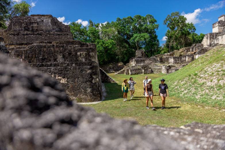 Cenotes to Sloths: 32 - Day Central America Wildlife Odyssey - Zero Trace Tours