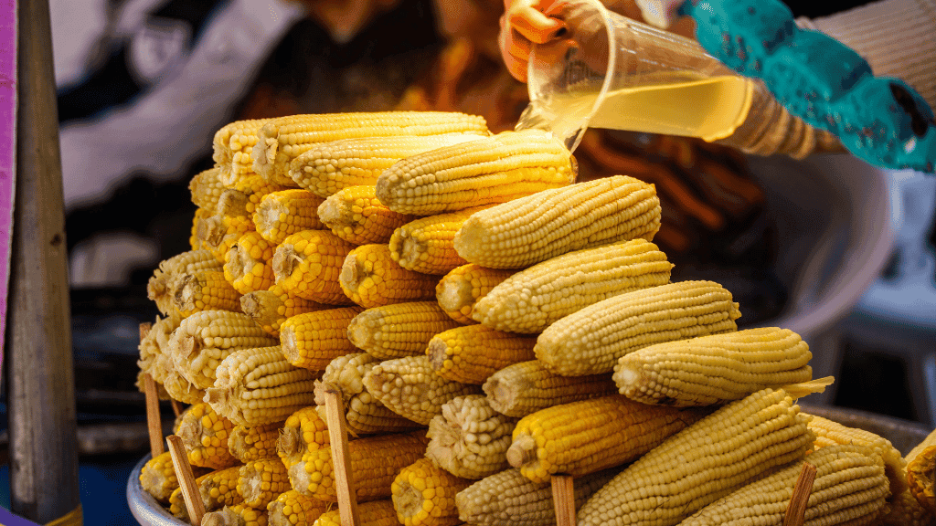 Cenotes to Sloths: 32 - Day Central America Wildlife Odyssey - Zero Trace Tours