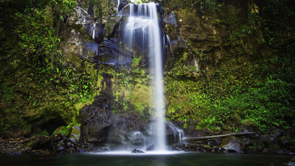 Coasts to Coffee: 27 - Day Costa Rica to Colombia Cultural Odyssey - Zero Trace Tours