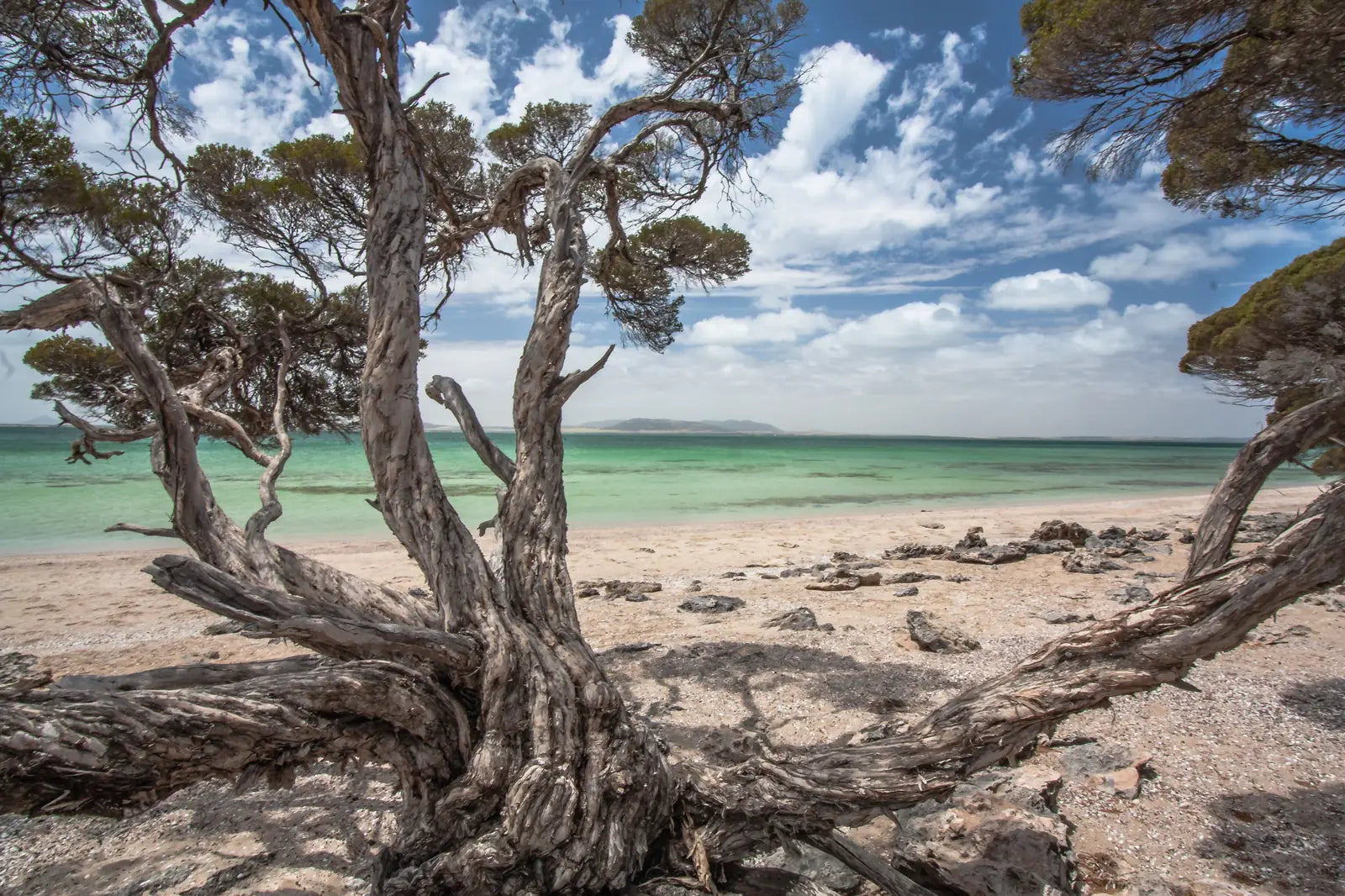 10 Day Eyre Peninsula, West Coast & Outback Eco Tour from Adelaide | Small Group 4WD Adventure