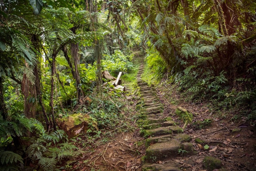 Colombia Uncovered | Coffee, Coasts & The Lost City — 14 or 22 Days - Zero Trace Tours