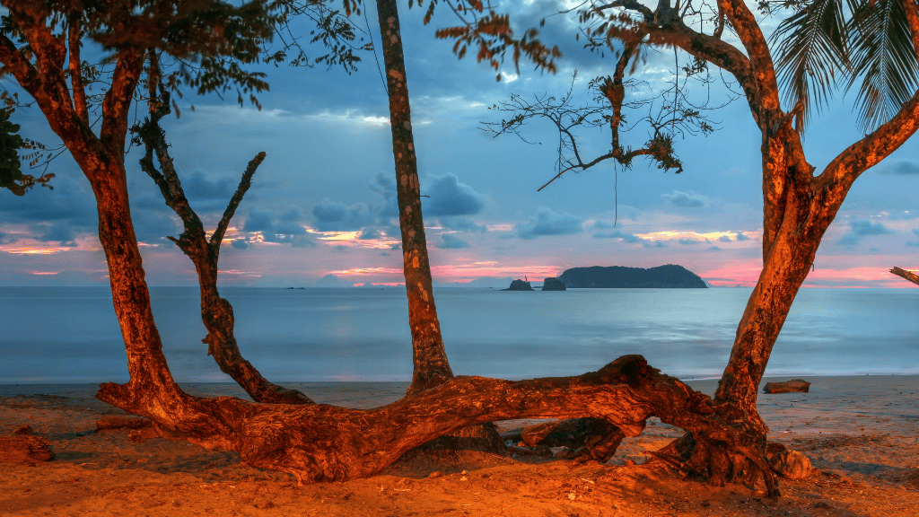 Costa Rica Pura Vida: Volcanoes, Cloud Forests & Wild Coasts | San José → San José (9/16 Days) - Zero Trace Tours