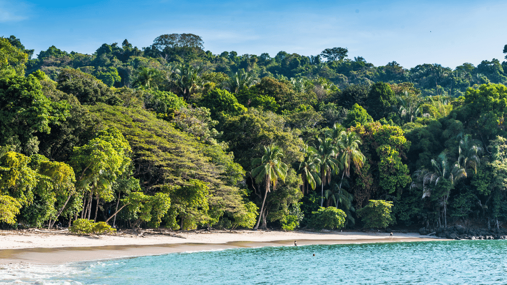 Costa Rica Pura Vida: Volcanoes, Cloud Forests & Wild Coasts | San José → San José (9/16 Days) - Zero Trace Tours