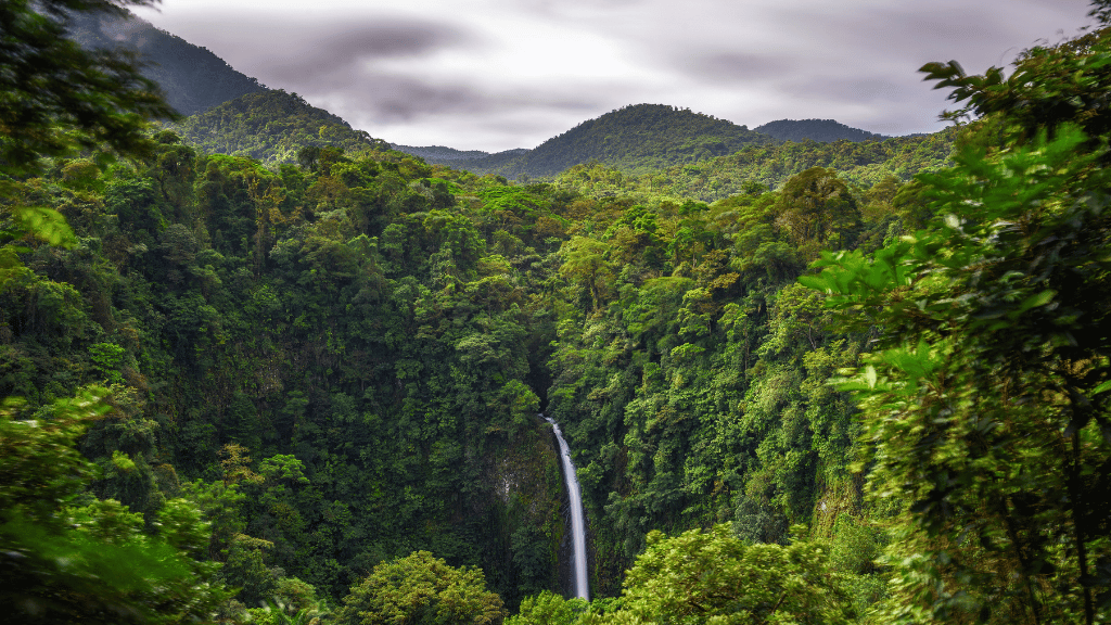 Costa Rica Pura Vida: Volcanoes, Cloud Forests & Wild Coasts | San José → San José (9/16 Days) - Zero Trace Tours
