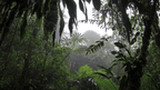 Costa Rica Pura Vida: Volcanoes, Cloud Forests & Wild Coasts | San José → San José (9/16 Days) - Zero Trace Tours
