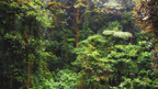 Costa Rica Pura Vida: Volcanoes, Cloud Forests & Wild Coasts | San José → San José (9/16 Days) - Zero Trace Tours