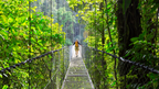 Costa Rica Explorer: Wildlife, Waterfalls & Beaches | 12-Day Group Adventure