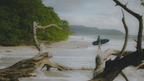 Costa Rica Explorer: Wildlife, Waterfalls & Beaches | 12-Day Group Adventure