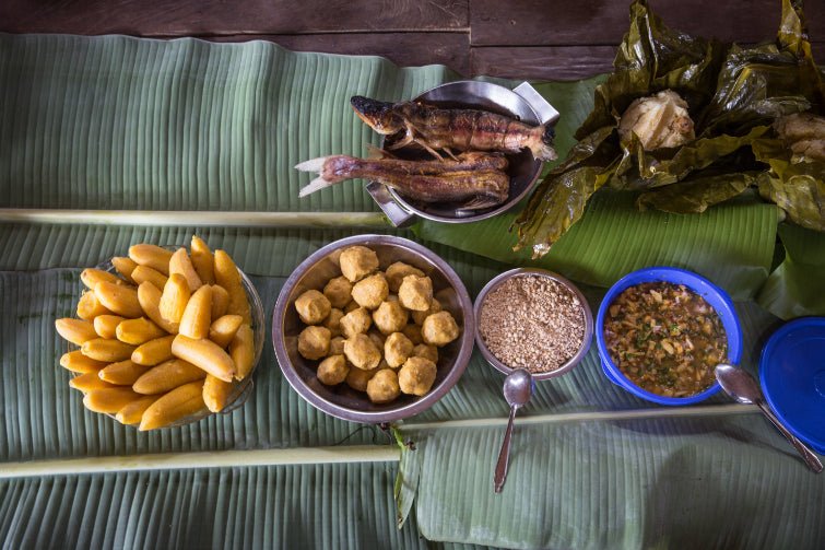 Cruise the Amazon's Heart: 9 - Day Riverboat Wildlife & Waters Adventure - Zero Trace Tours