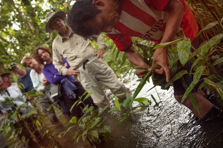 Cruise the Amazon's Heart: 9 - Day Riverboat Wildlife & Waters Adventure - Zero Trace Tours