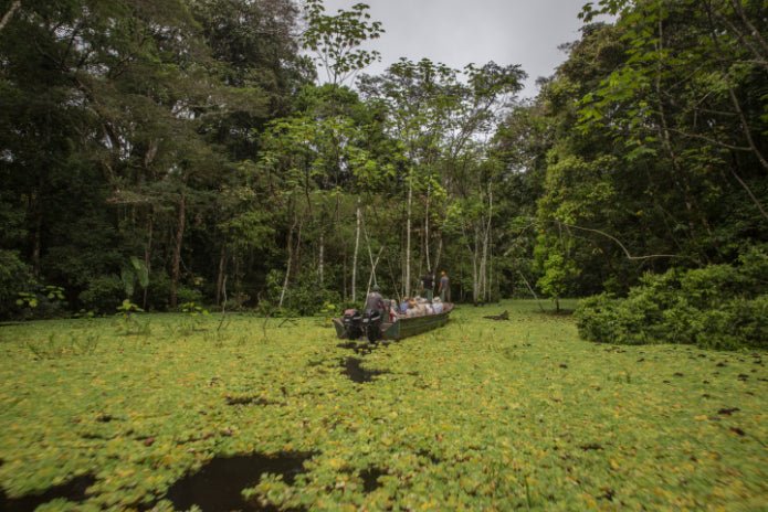 Cruise the Amazon's Heart: 9 - Day Riverboat Wildlife & Waters Adventure - Zero Trace Tours