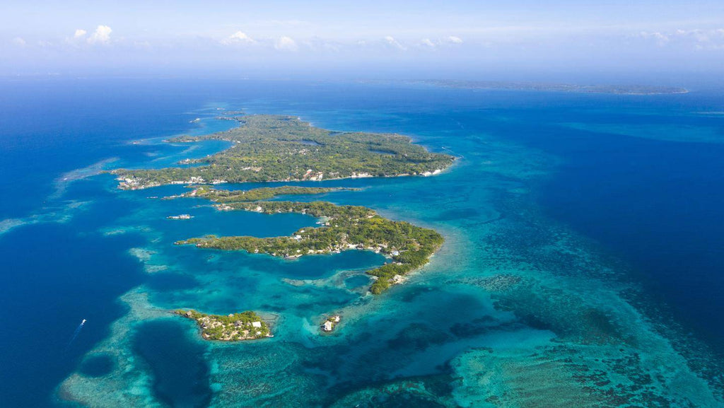 Customize Colombia: 9 or 16 Days from Medellín to Cocora Coast - Zero Trace Tours