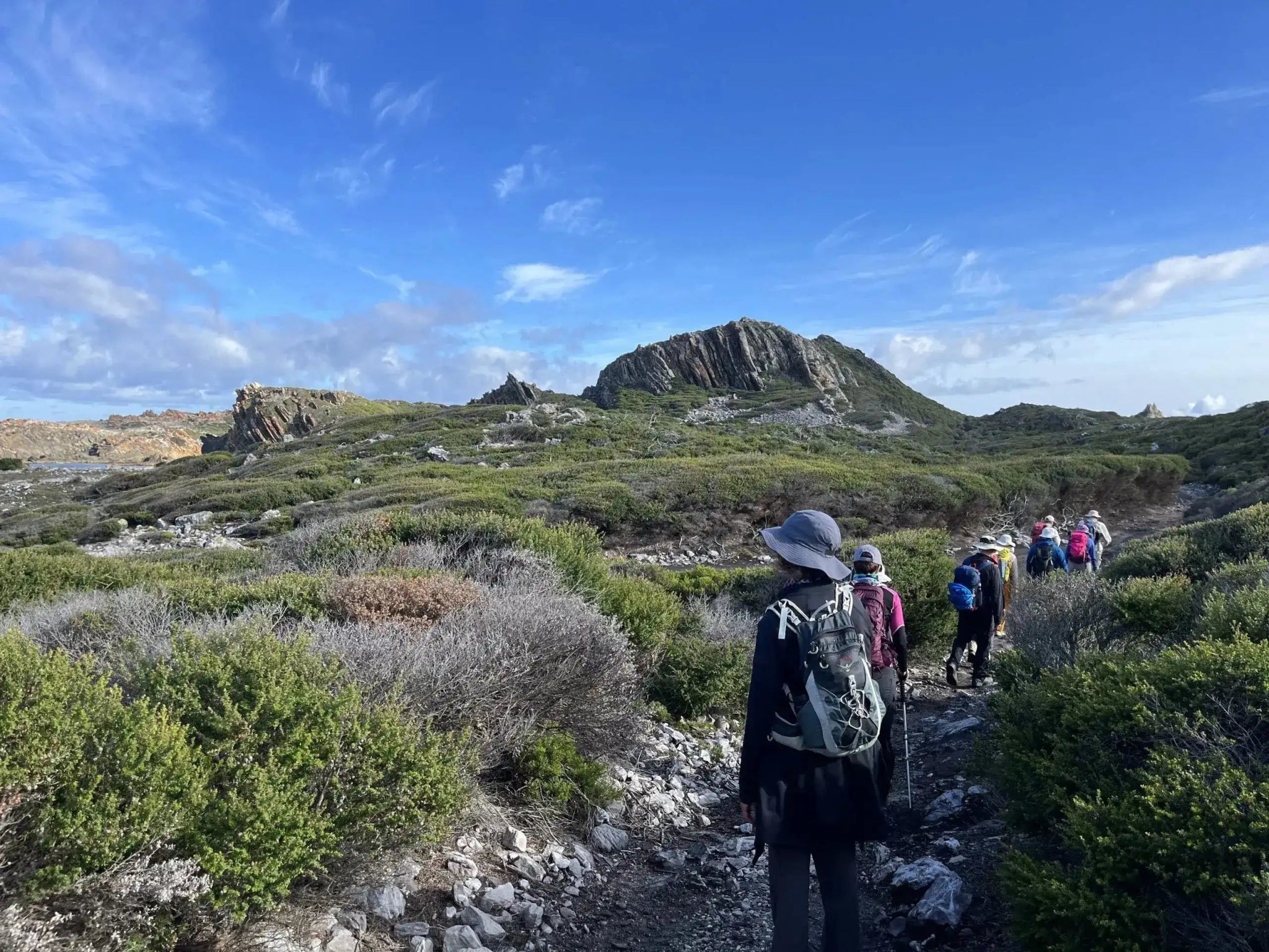 Deep Into the Tarkine: 5 - Day Ancient Rainforest Walk - Zero Trace Tours