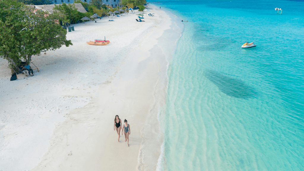 Dive into Maldives Magic: 7 - Day Reefs, Sharks & Sandbank Escape - Zero Trace Tours