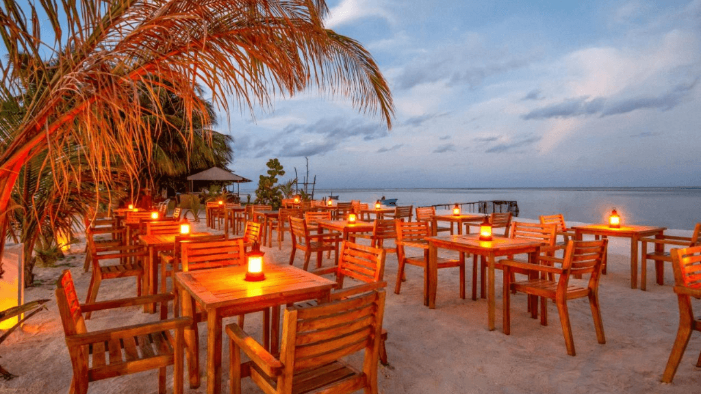 Dive into Maldives Magic: 7 - Day Reefs, Sharks & Sandbank Escape - Zero Trace Tours