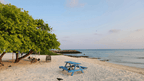 Dive into Maldives Magic: 7 - Day Reefs, Sharks & Sandbank Escape - Zero Trace Tours