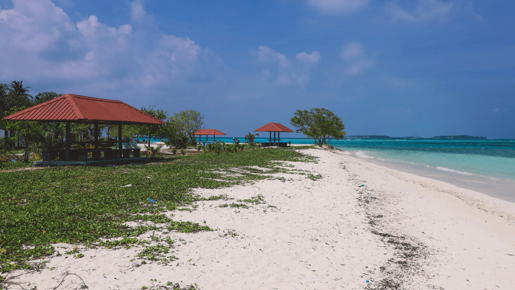 Dive into Maldives Magic: 7 - Day Reefs, Sharks & Sandbank Escape - Zero Trace Tours