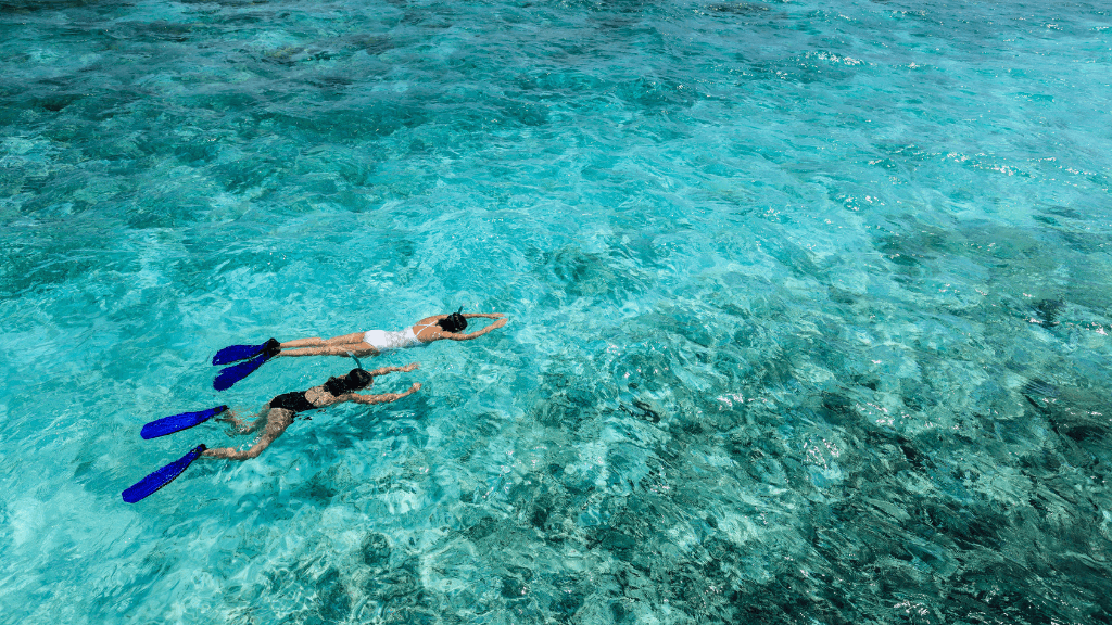 Dive into Maldives Magic: 7 - Day Reefs, Sharks & Sandbank Escape - Zero Trace Tours
