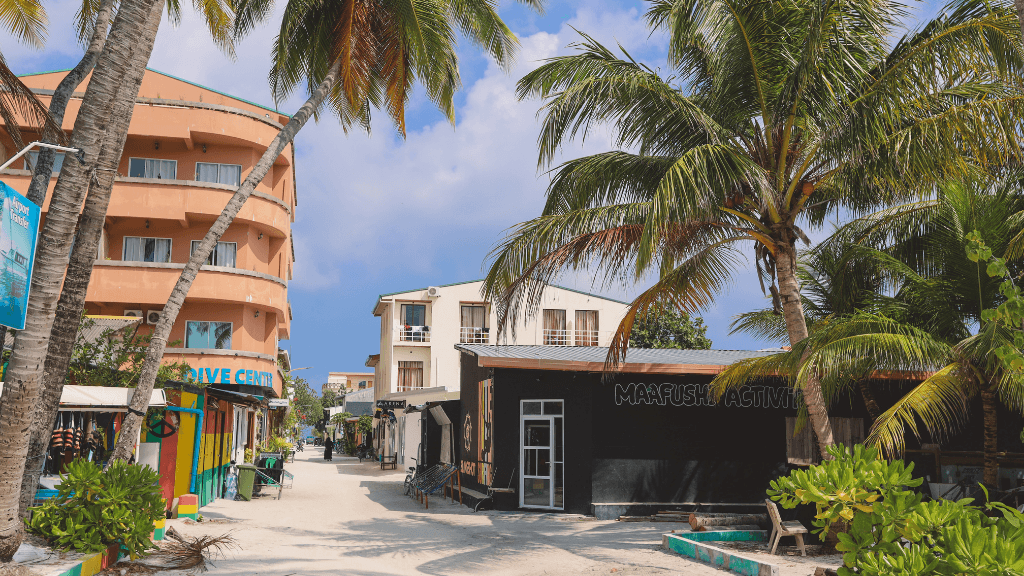 Dive into Maldives Magic: 7 - Day Reefs, Sharks & Sandbank Escape - Zero Trace Tours