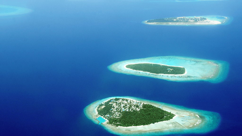 Dive into Maldives Magic: 7 - Day Reefs, Sharks & Sandbank Escape - Zero Trace Tours