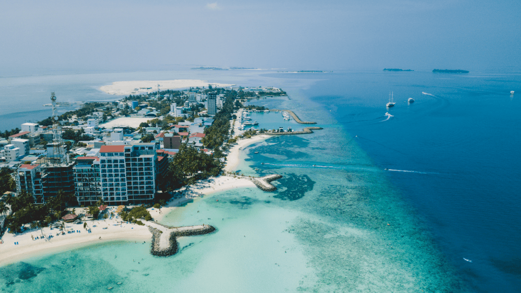 Dive into Maldives Magic: 7 - Day Reefs, Sharks & Sandbank Escape - Zero Trace Tours