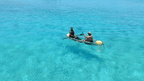 Dive into Maldives Magic: 7 - Day Reefs, Sharks & Sandbank Escape - Zero Trace Tours