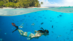 Dive into Maldives Magic: 7 - Day Reefs, Sharks & Sandbank Escape - Zero Trace Tours