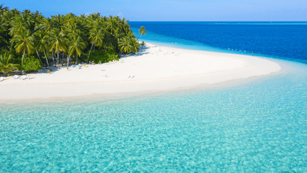 Dive into Maldives Magic: 7 - Day Reefs, Sharks & Sandbank Escape - Zero Trace Tours