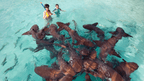 Dive into Maldives Magic: 7 - Day Reefs, Sharks & Sandbank Escape - Zero Trace Tours