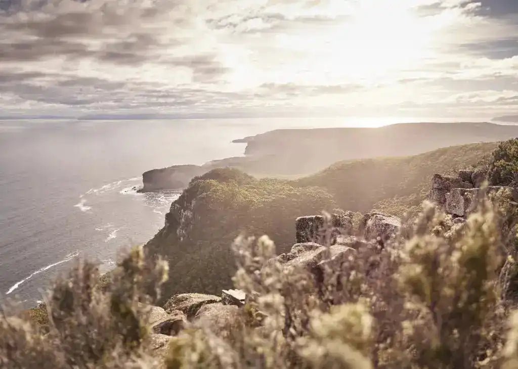 Dramatic Three Capes: 4 - Day Tasman Peninsula Guided Walk - Zero Trace Tours