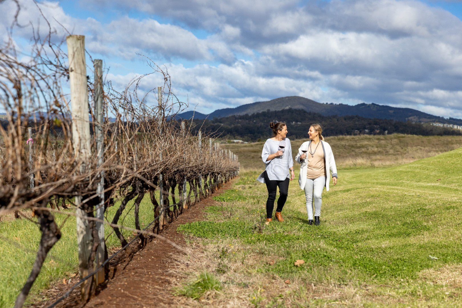 East Coast Essentials: 8 - Day Journey from Byron to Brisbane - Zero Trace Tours