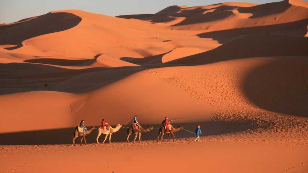 Enchanted of Morocco | 11 Days of Deserts, Souks & Mountains - Zero Trace Tours