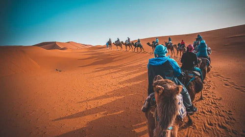 Enchanted of Morocco | 11 Days of Deserts, Souks & Mountains - Zero Trace Tours