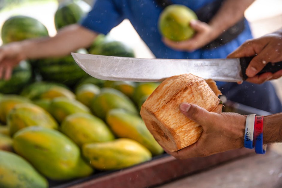 Epic Icons of Central America: Multi - Country Eco - Journey | Mexico City → Antigua / San José (29/45 or 62 Days) - Zero Trace Tours