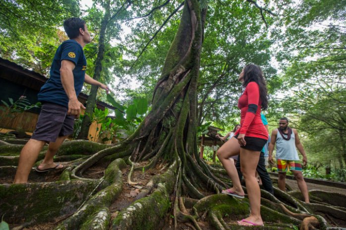 Epic Icons of Central America: Multi - Country Eco - Journey | Mexico City → Antigua / San José (29/45 or 62 Days) - Zero Trace Tours