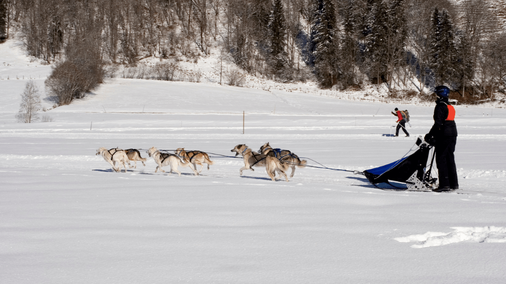 Epic Northern Québec Escape: 7 - Day Fjords, Trails & Cozy Lodge (Summer/Winter) - Zero Trace Tours