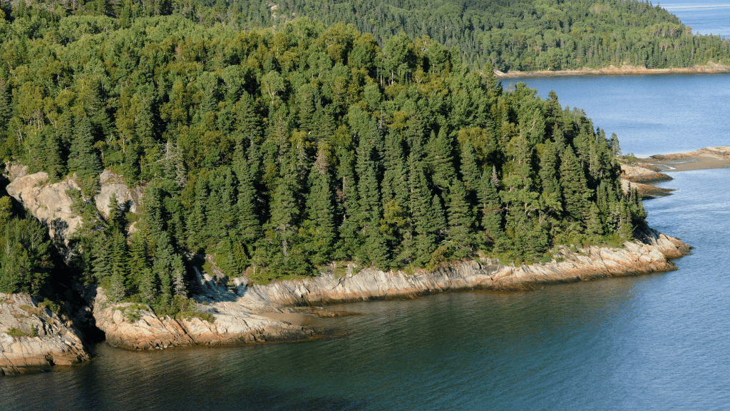 Epic Northern Québec Escape: 7 - Day Fjords, Trails & Cozy Lodge (Summer/Winter) - Zero Trace Tours