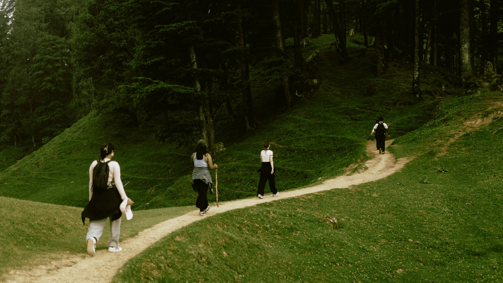 Epic Northern Québec Escape: 7 - Day Fjords, Trails & Cozy Lodge (Summer/Winter) - Zero Trace Tours