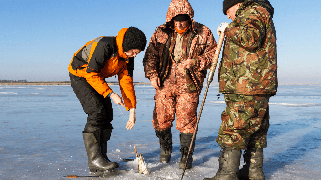 Epic Northern Québec Escape: 7 - Day Fjords, Trails & Cozy Lodge (Summer/Winter) - Zero Trace Tours