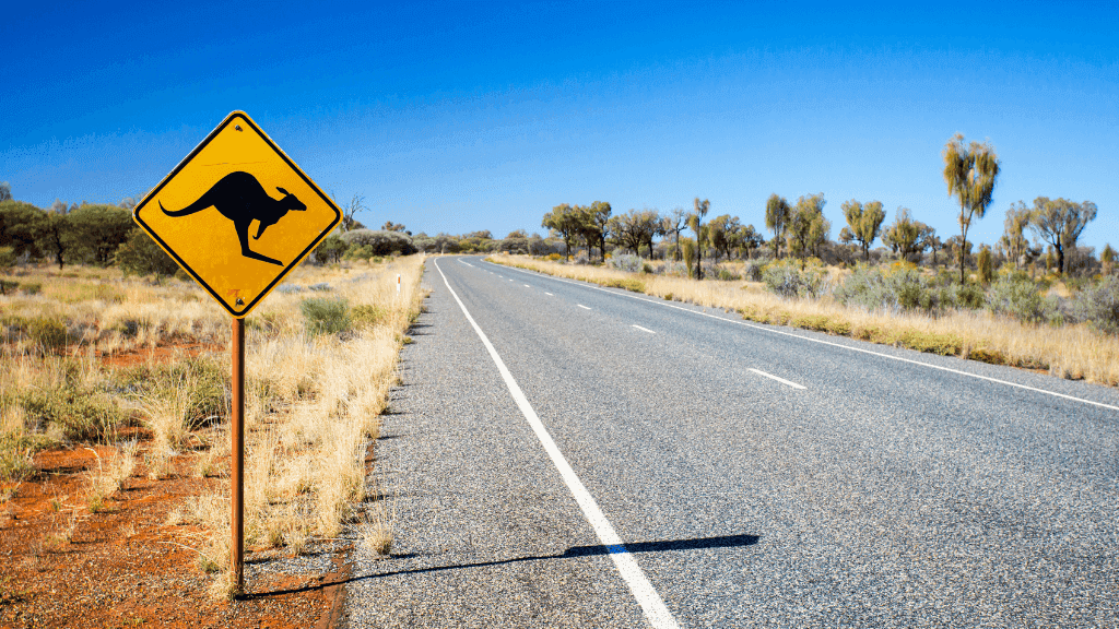 Epic Uluru to Kings Canyon: 4 - Day 4WD Outback Safari | Depart Alice Springs or Uluru - Zero Trace Tours