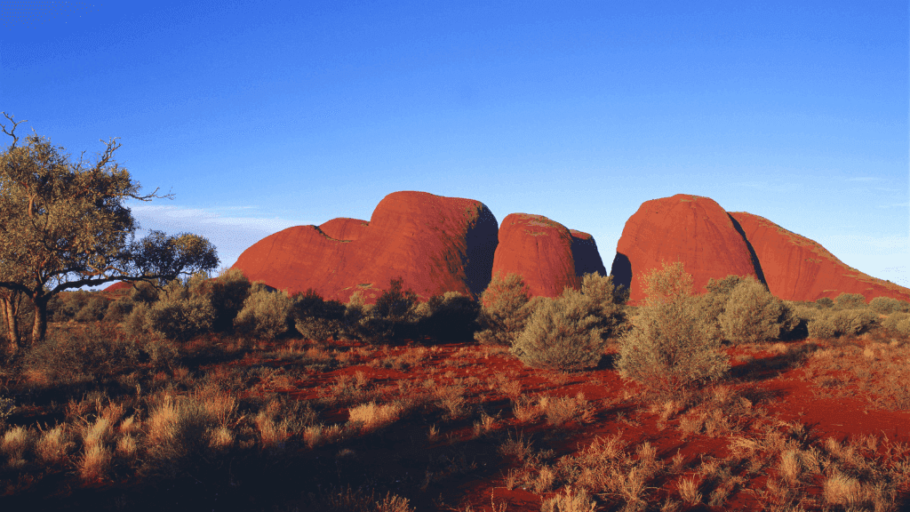 Epic Uluru to Kings Canyon: 4 - Day 4WD Outback Safari | Depart Alice Springs or Uluru - Zero Trace Tours