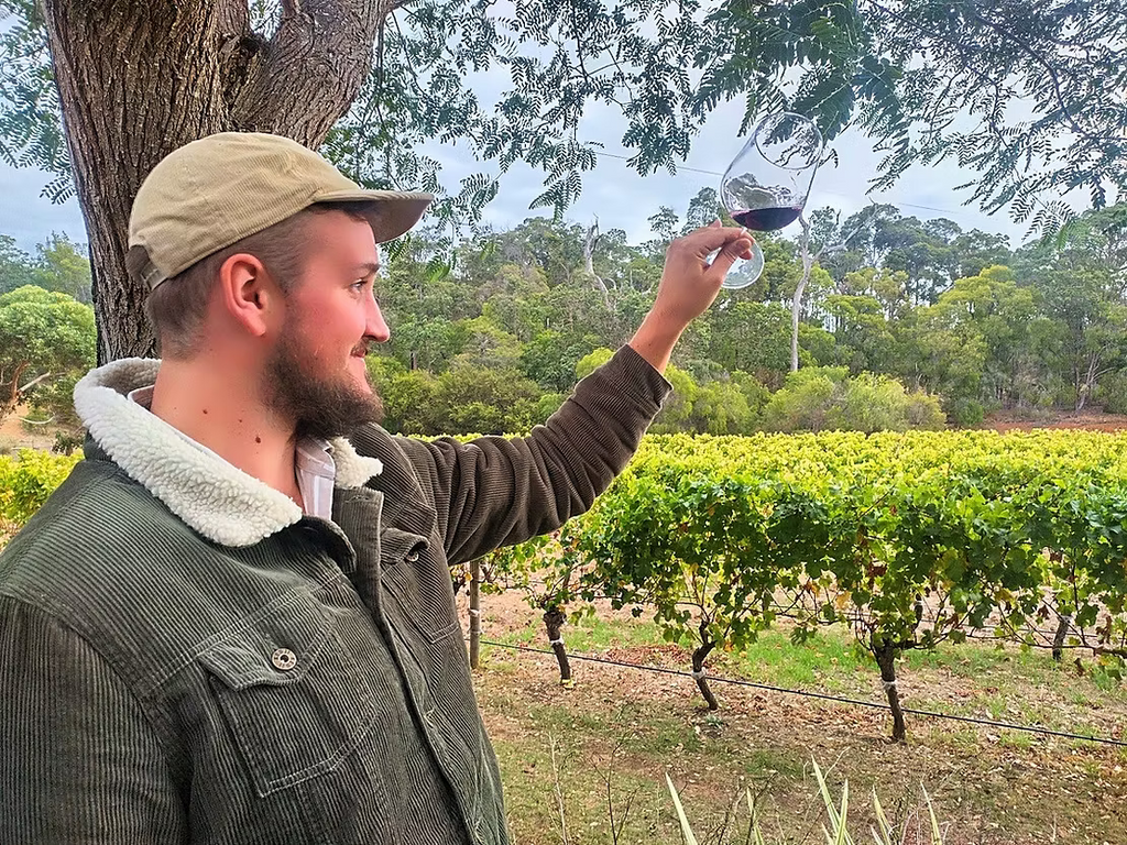 Margaret River Wine Blending & Gourmet Shore Excursion from Busselton Jetty