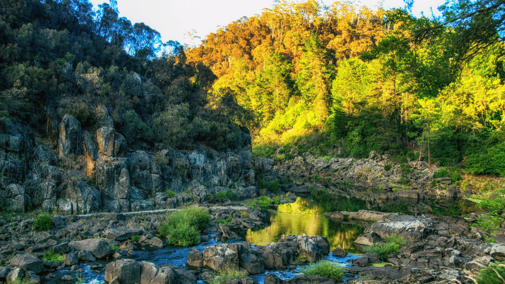Fiery Bays & Pristine Shores: 4 - Day Bay of Fires Guided Walk - Zero Trace Tours