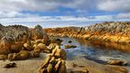 Fiery Bays & Pristine Shores: 4 - Day Bay of Fires Guided Walk - Zero Trace Tours