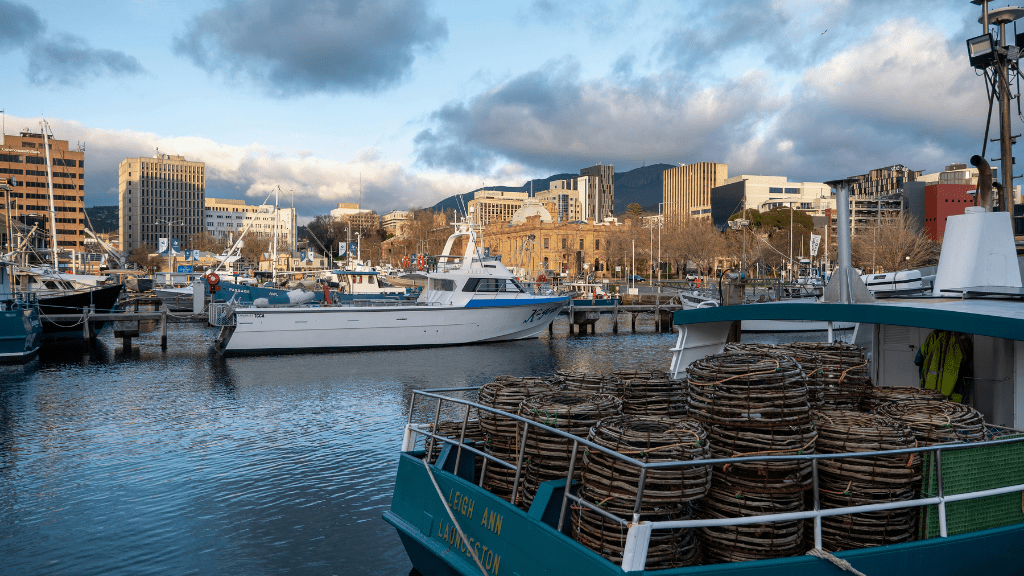 Fiery Bays & Pristine Shores: 4 - Day Bay of Fires Guided Walk - Zero Trace Tours
